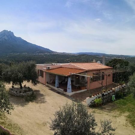 Villa L'Oleandro Oliena Extérieur photo