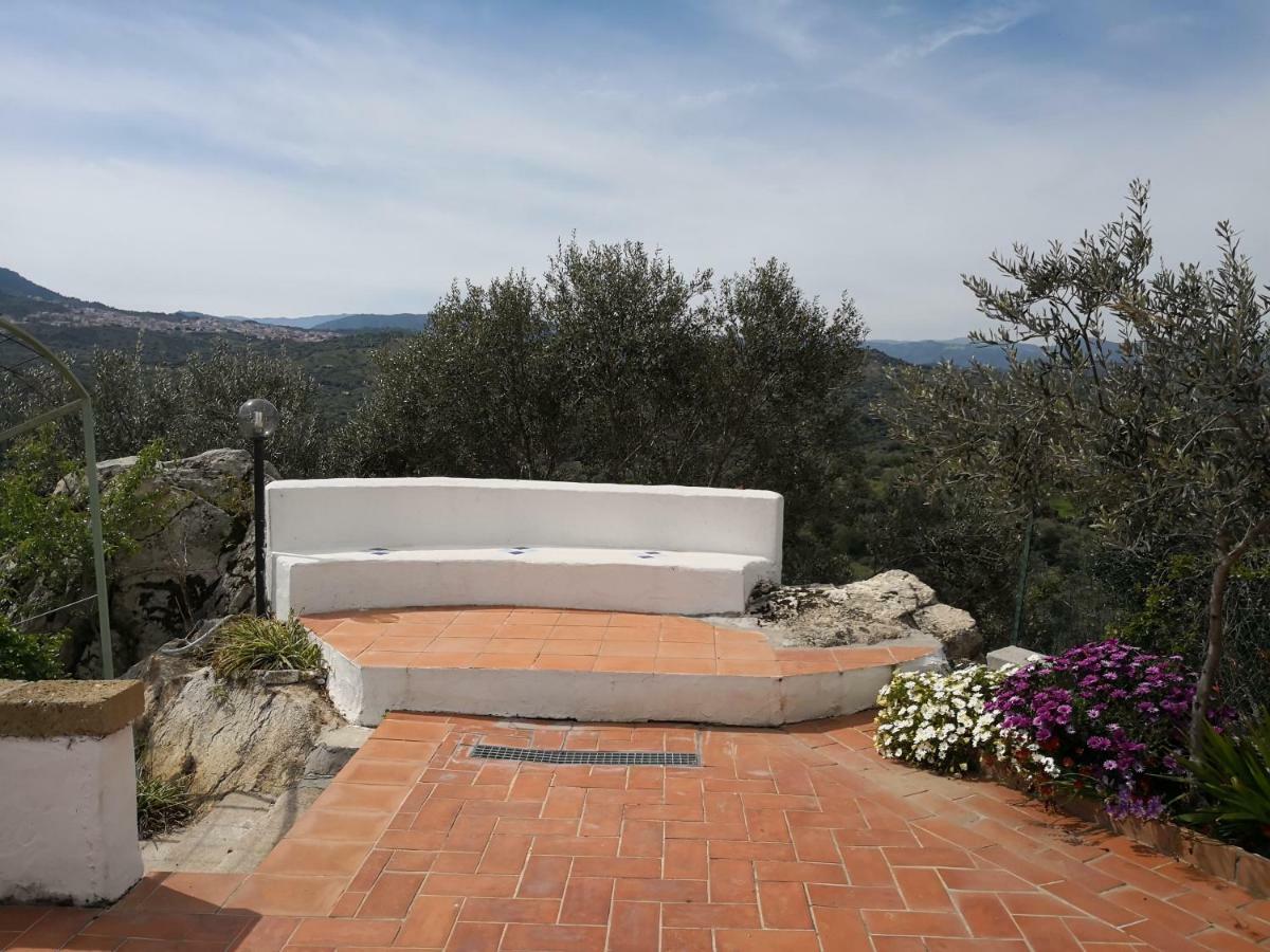 Villa L'Oleandro Oliena Extérieur photo