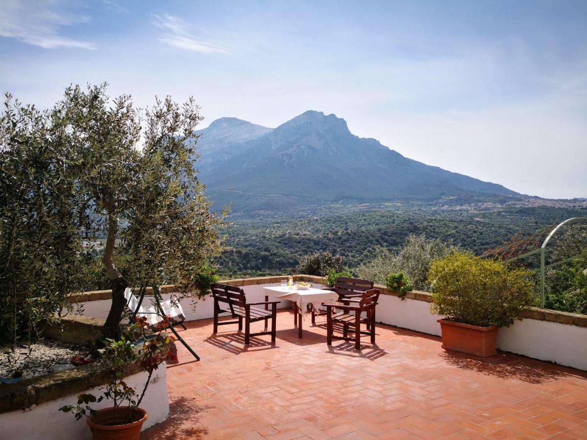 Villa L'Oleandro Oliena Extérieur photo
