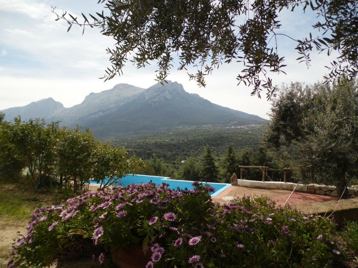 Villa L'Oleandro Oliena Extérieur photo