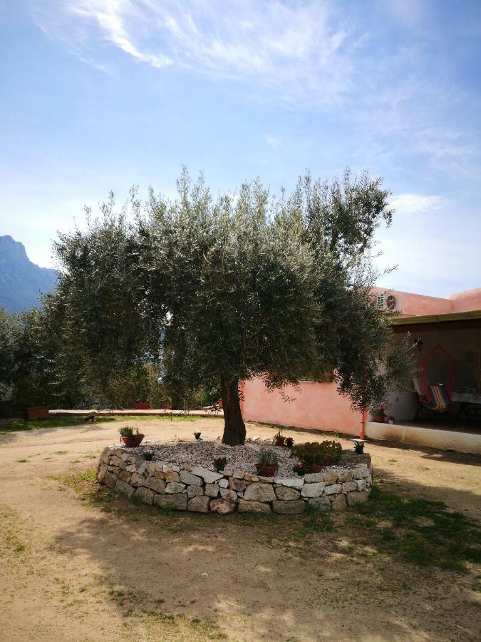 Villa L'Oleandro Oliena Extérieur photo