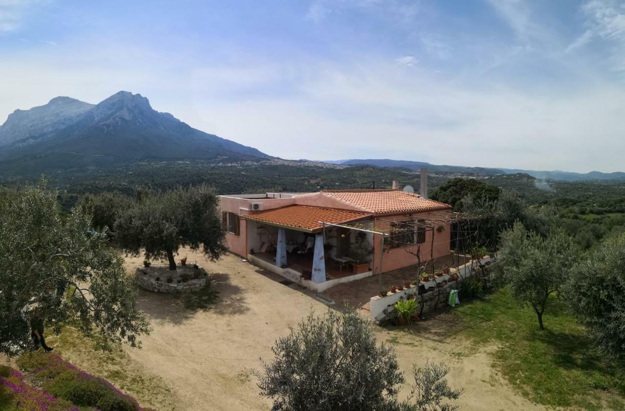 Villa L'Oleandro Oliena Extérieur photo