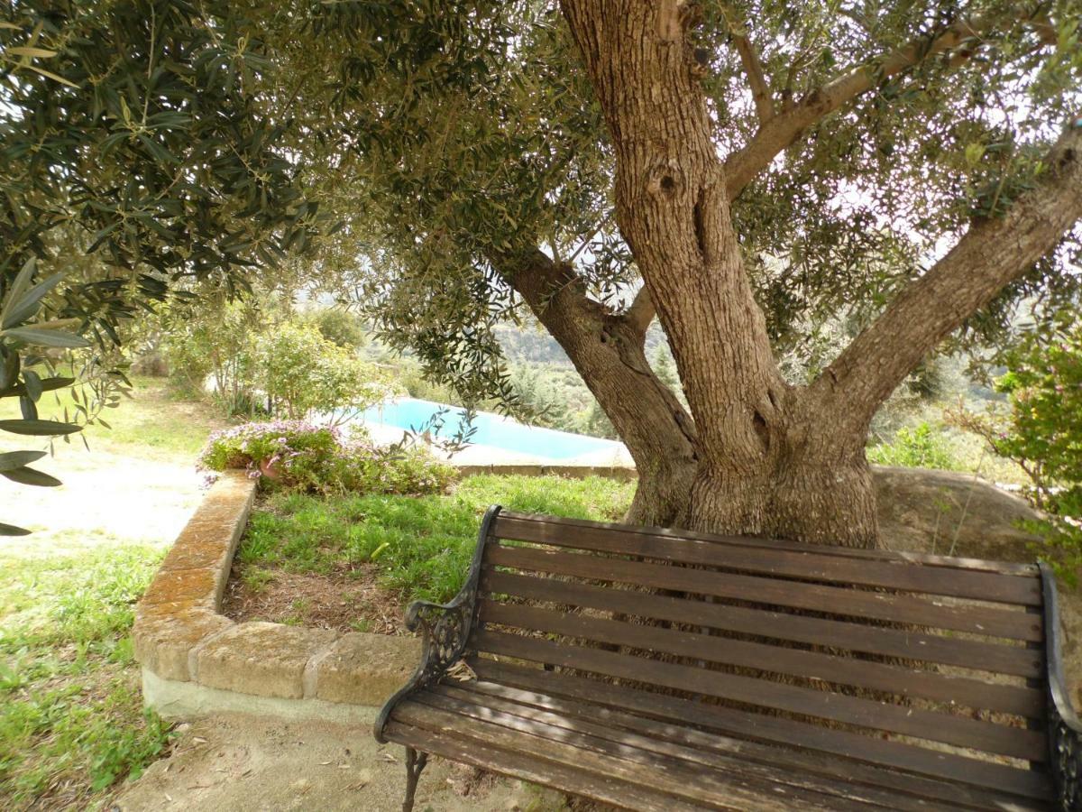 Villa L'Oleandro Oliena Extérieur photo