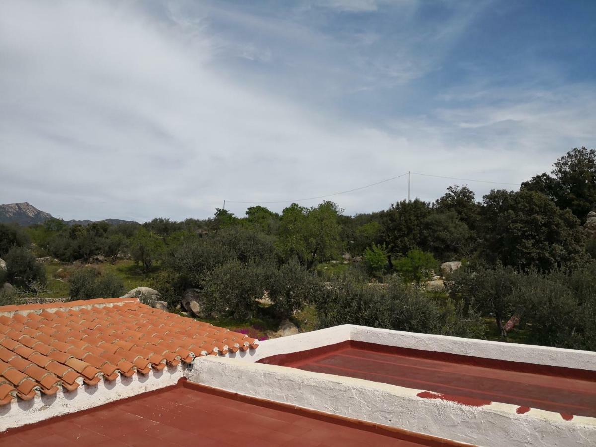 Villa L'Oleandro Oliena Extérieur photo