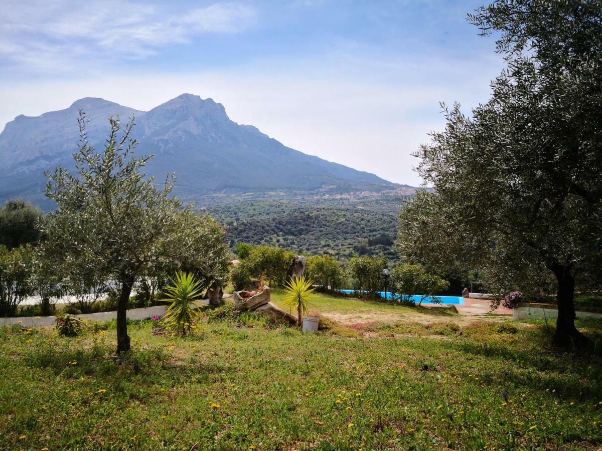 Villa L'Oleandro Oliena Extérieur photo