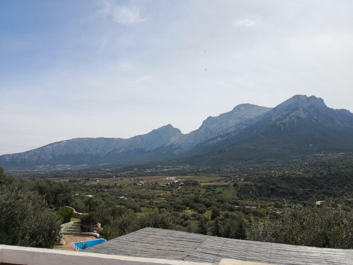 Villa L'Oleandro Oliena Extérieur photo